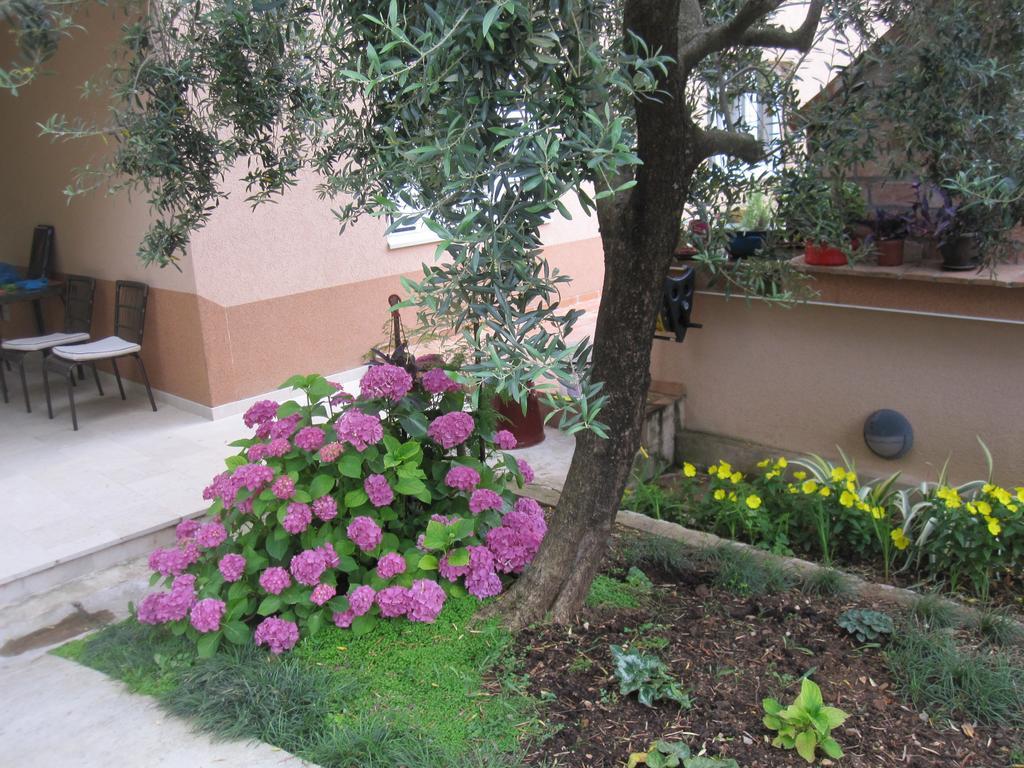 Apartments City Center Tivat Exterior photo
